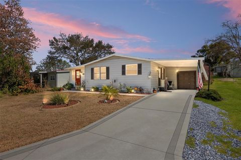 1727 HILTON HEAD BOULEVARD LADY LAKE FL 32159