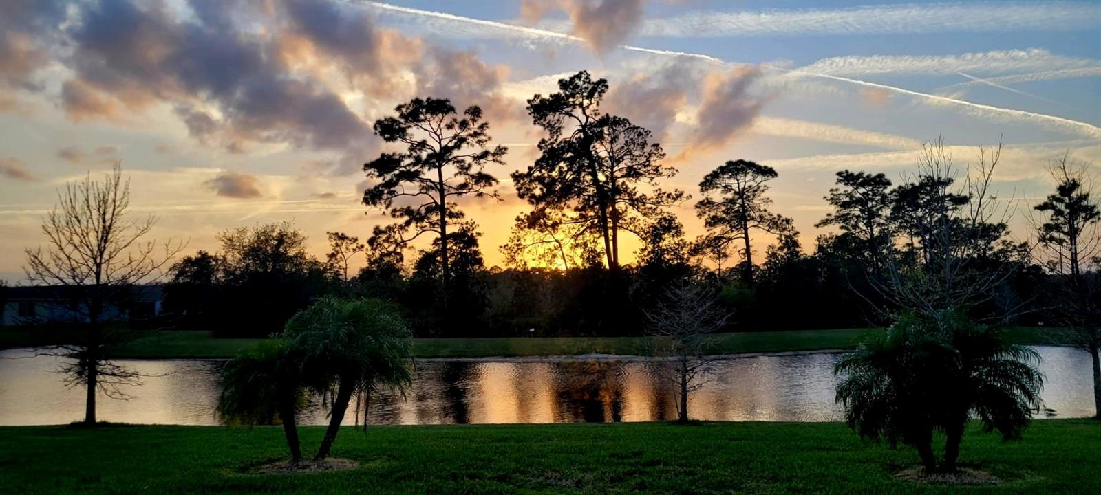 PALMS AT SERENOA PHASE 2 - Residential