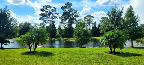 Tiny photo for 3879 Winged Elm Court, Clermont, FL 34714 (MLS # O6393569)