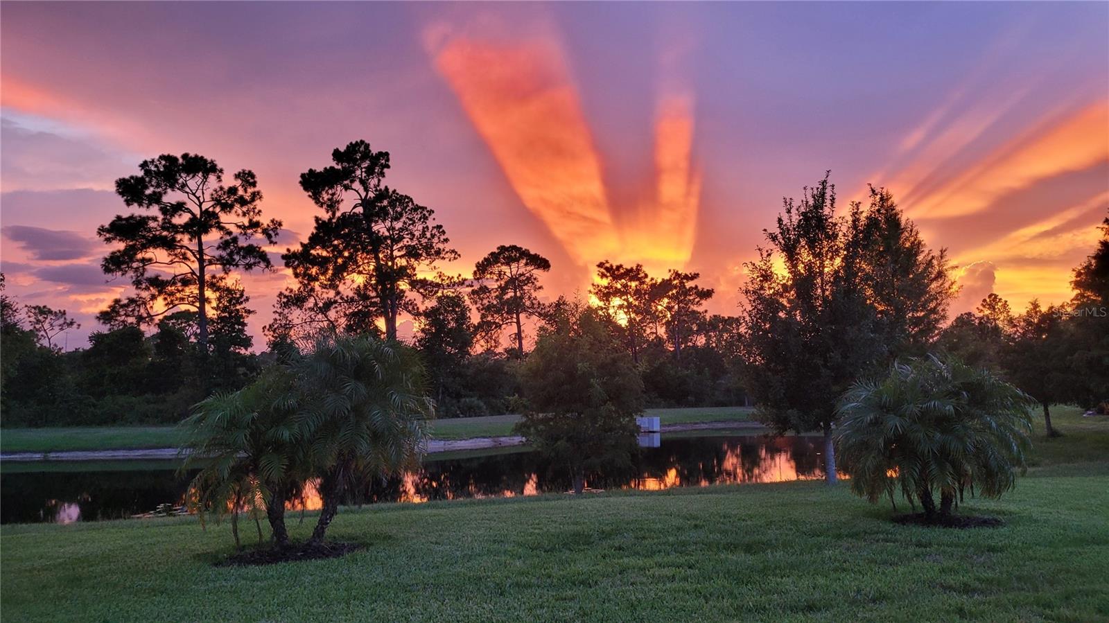 PALMS AT SERENOA PHASE 2 - Residential