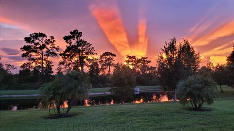 Tiny photo for 3879 Winged Elm Court, Clermont, FL 34714 (MLS # O6393569)