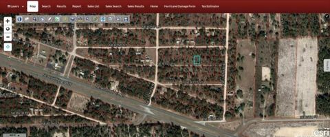 0000 NE 61ST LN WILLISTON FL 32696