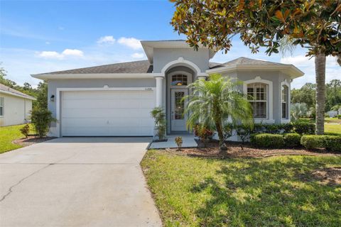 11220 GODWIT COURT NEW PORT RICHEY FL 34654