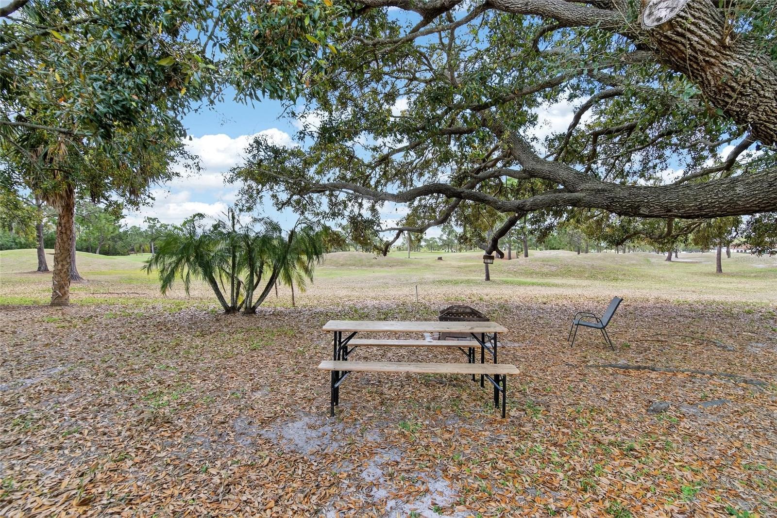 CLUBHOUSE ESTATES AT SUMMERFIE - Residential