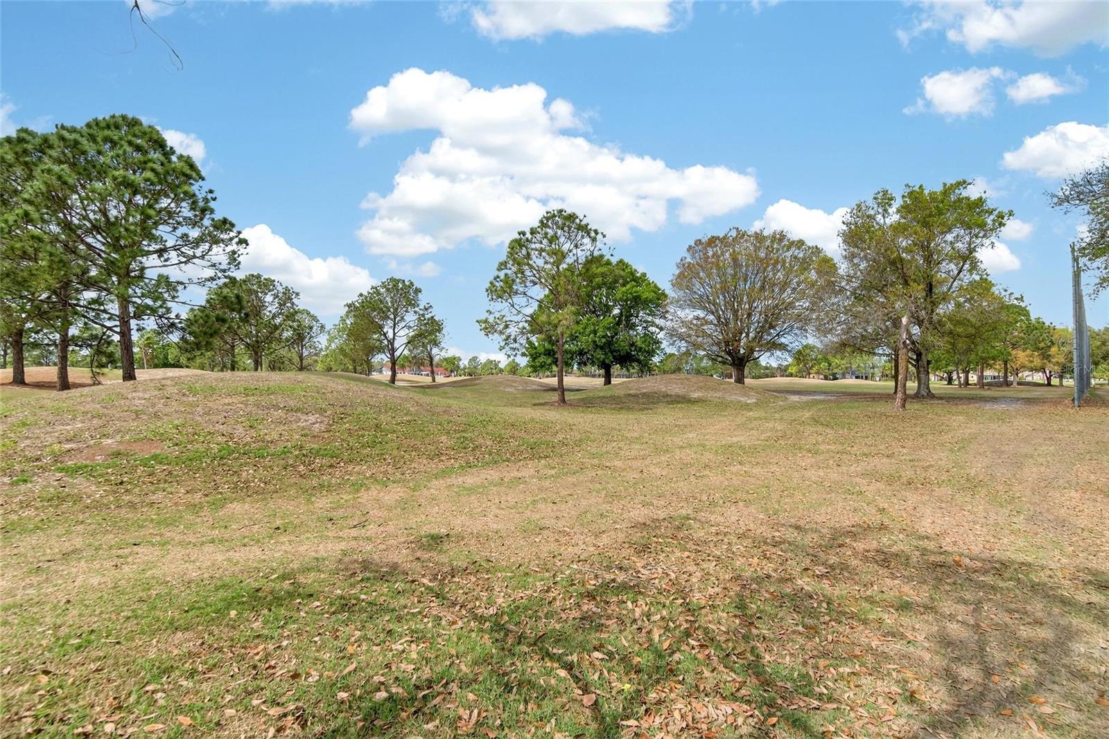 CLUBHOUSE ESTATES AT SUMMERFIE - Residential