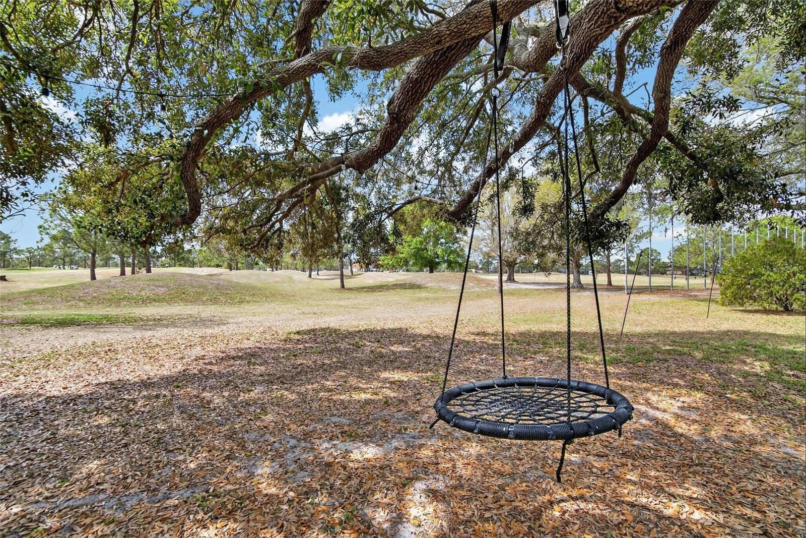 CLUBHOUSE ESTATES AT SUMMERFIE - Residential