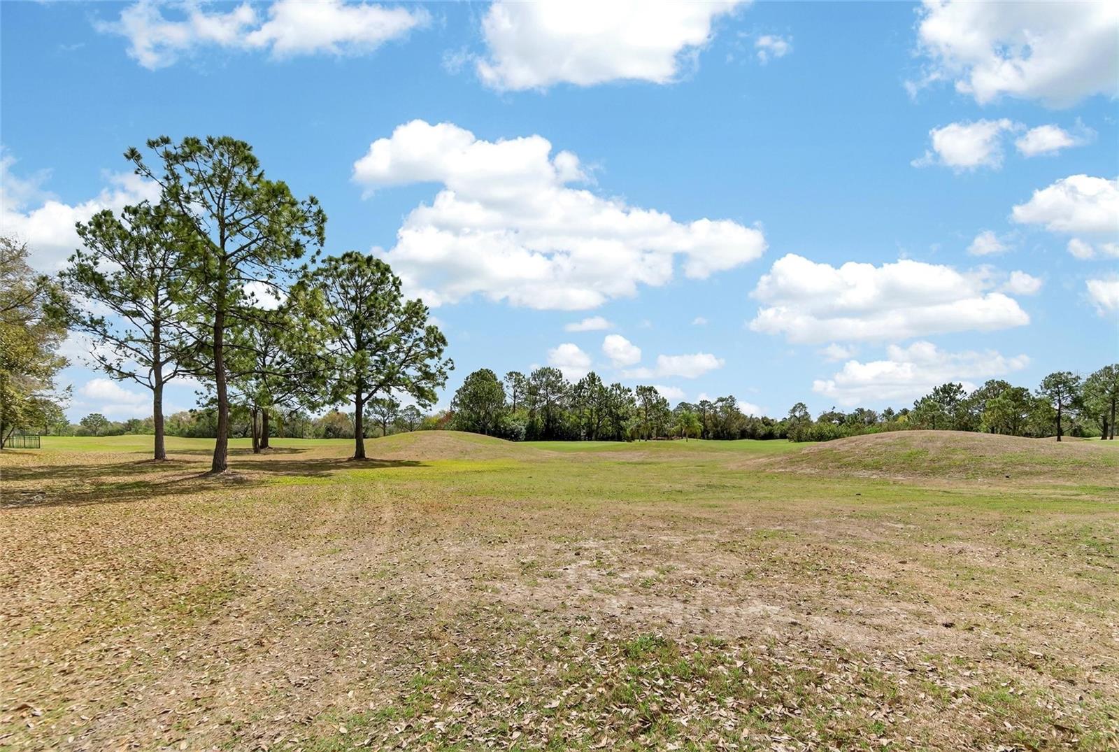 CLUBHOUSE ESTATES AT SUMMERFIE - Residential