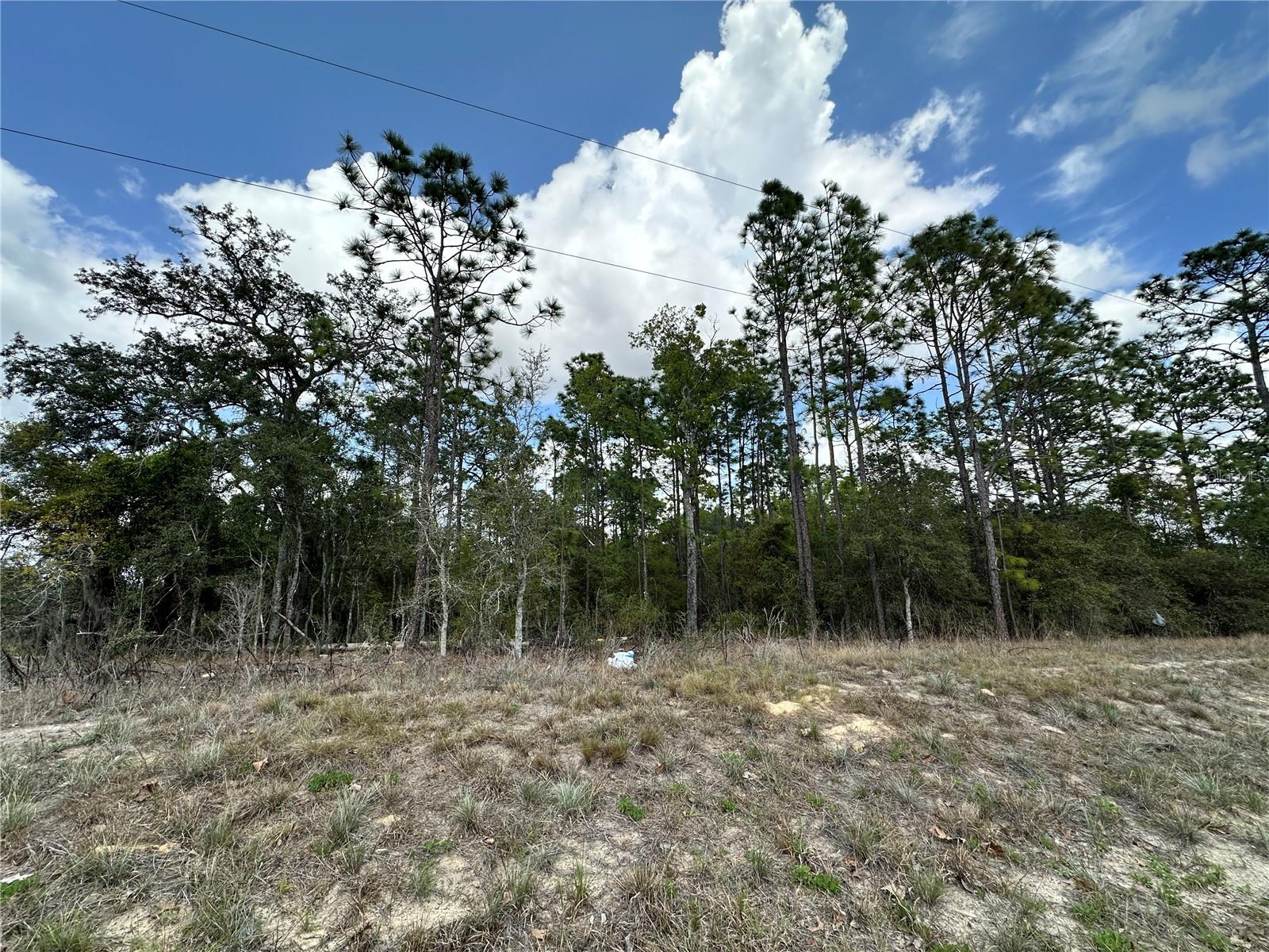REPLAT WILLISTON HIGHLANDS UNIT 5 - Land