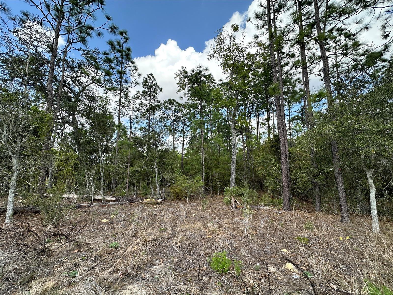 REPLAT WILLISTON HIGHLANDS UNIT 5 - Land