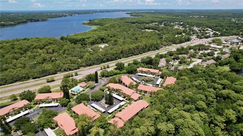 A home in PALM HARBOR