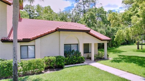 A home in PALM HARBOR