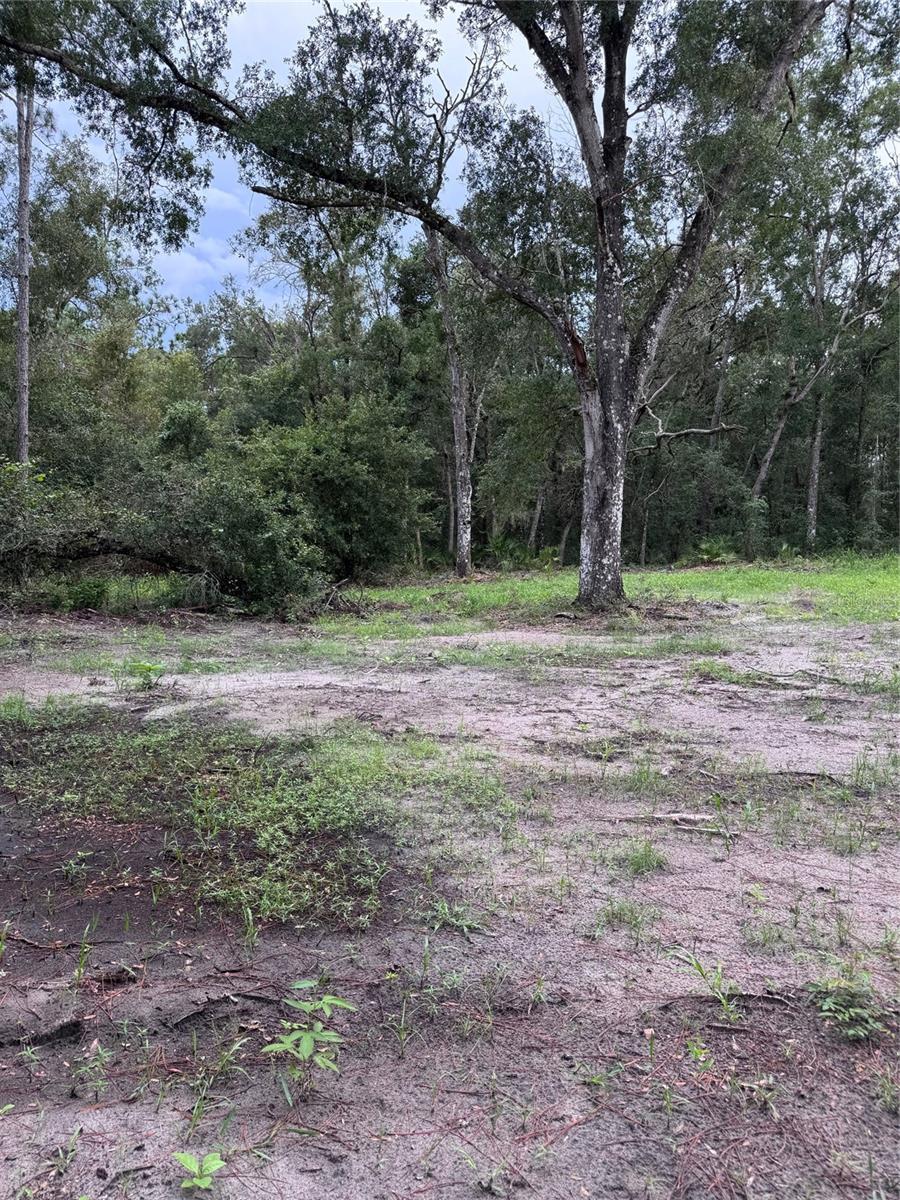 RIDGE MANOR ESTATE - Land