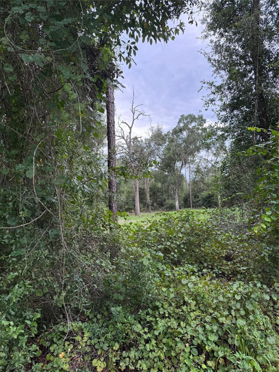 RIDGE MANOR ESTATE - Land