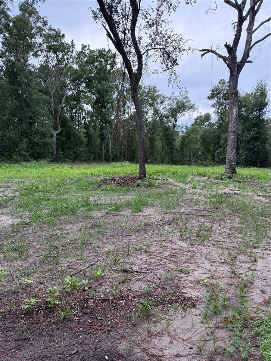 RIDGE MANOR ESTATE - Land