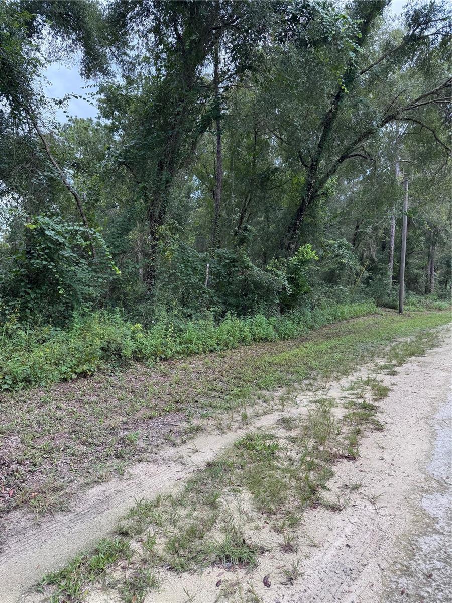 RIDGE MANOR ESTATE - Land