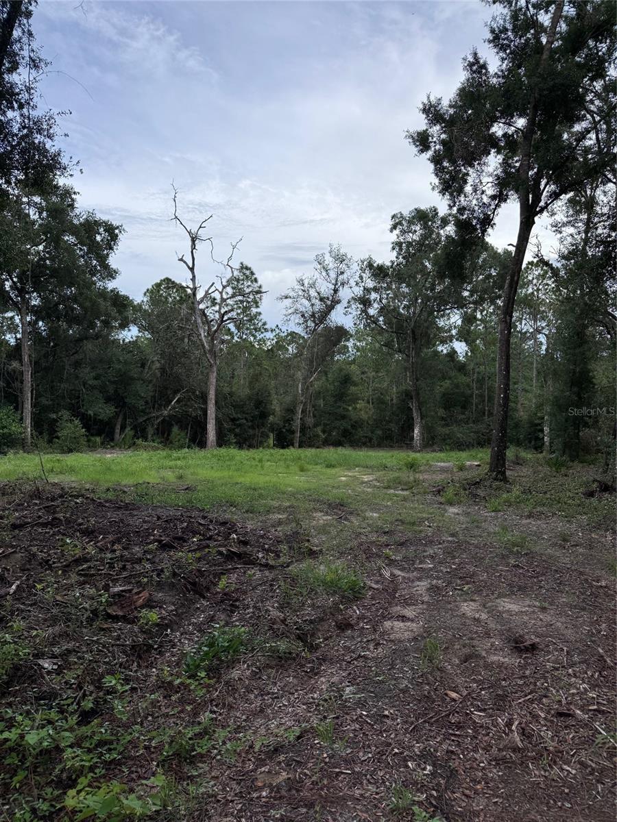 High and Dry, the magic words in Florida! These two parcels are being sold together to make up .90 acre to build your forever home in the heart of Ridge Manor Estates! This community is home to custom homes tucked away from the hustle and bustle of the cities nearby. You wouldn't even know that just 45 minutes south is Tampa, 45 Minutes East is Orlando, 45 Minutes North is Ocala, and 30 Minutes West, is the Gulf! A perfect location to build your retreat from the daily grind! Call today to make your appointment.