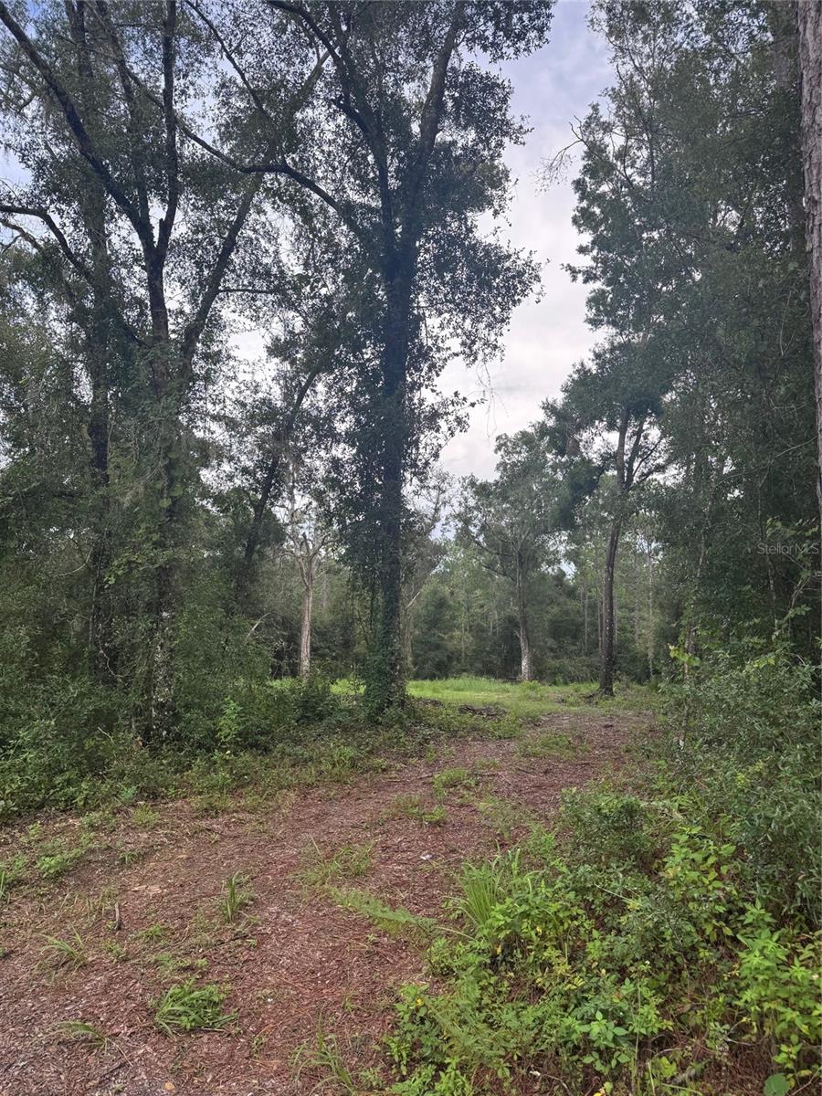 RIDGE MANOR ESTATE - Land