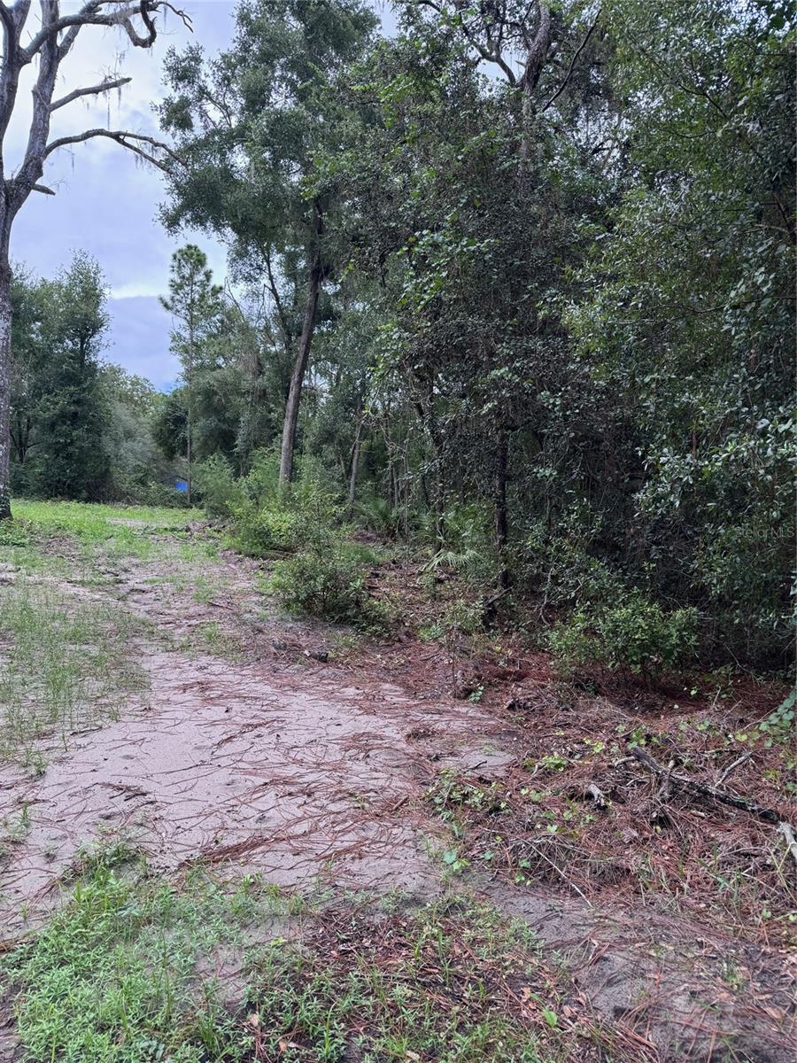 RIDGE MANOR ESTATE - Land