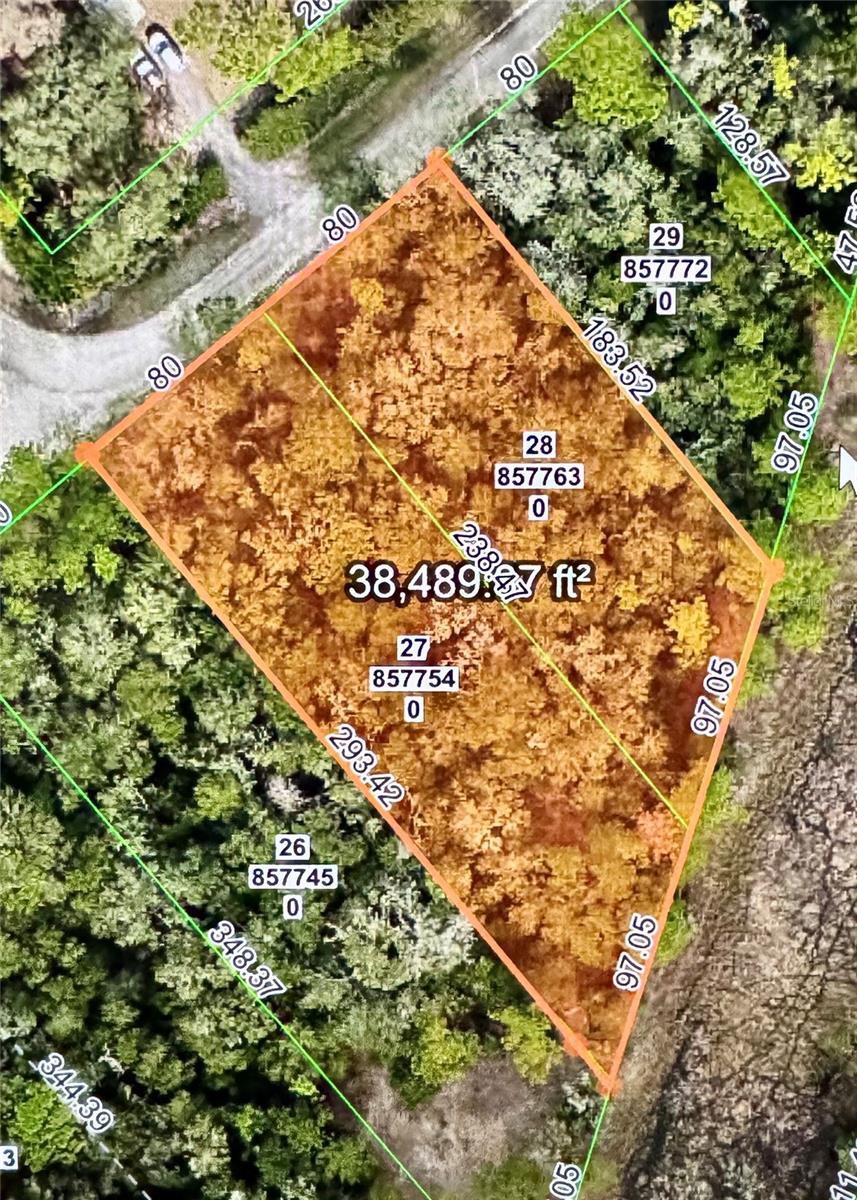 High and Dry, the magic words in Florida! These two parcels are being sold together to make up .90 acre to build your forever home in the heart of Ridge Manor Estates! This community is home to custom homes tucked away from the hustle and bustle of the cities nearby. You wouldn't even know that just 45 minutes south is Tampa, 45 Minutes East is Orlando, 45 Minutes North is Ocala, and 30 Minutes West, is the Gulf! A perfect location to build your retreat from the daily grind! Call today to make your appointment.