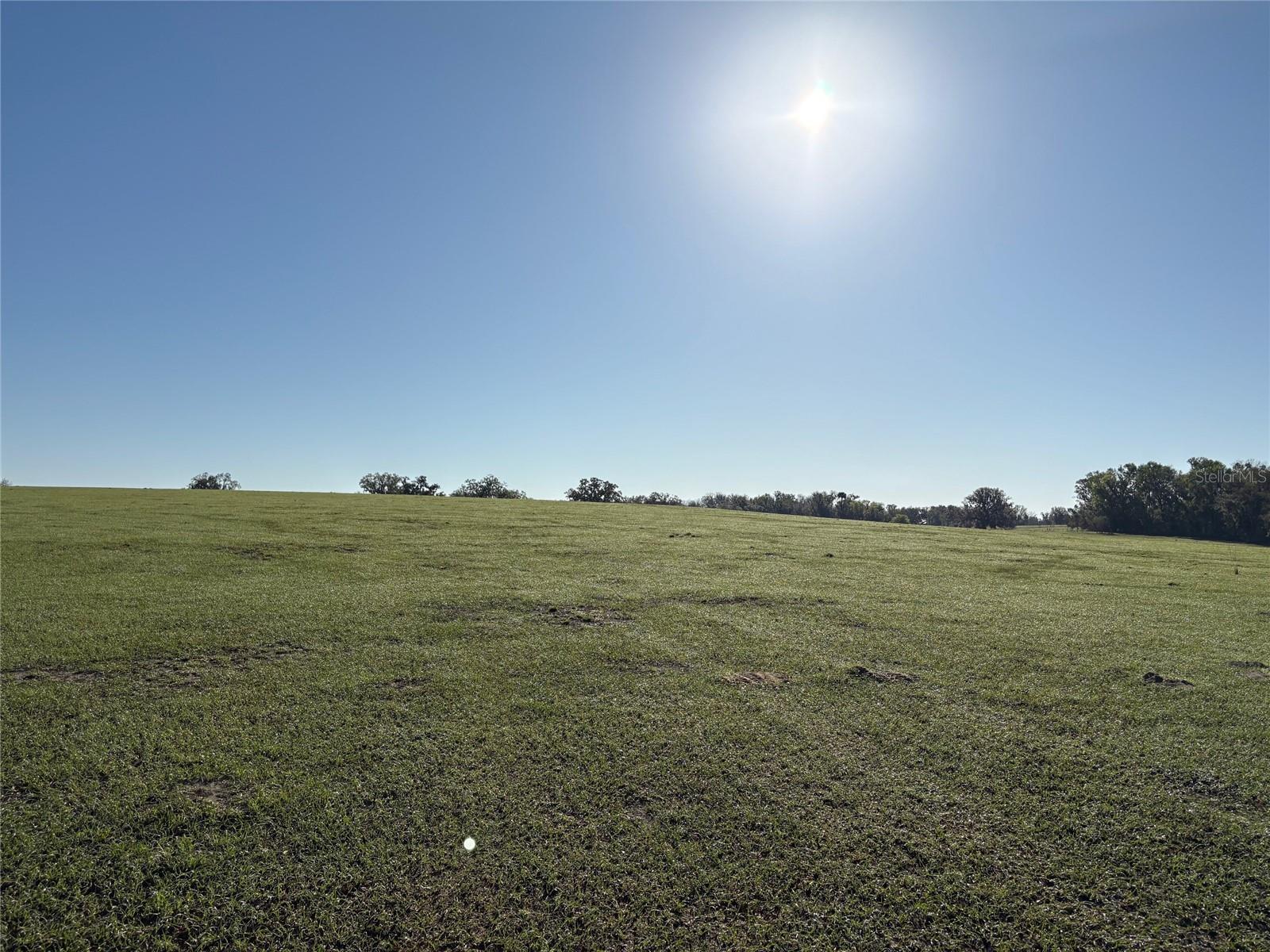 Expansive 104-Acre Land in Scenic Brooksville, FL – Prime Location & Limitless Potential!
Seize this rare opportunity to own a unique pristine land in the rolling hills of Brooksville, Florida – a hidden gem offering both breathtaking natural beauty and exceptional development potential. Whether you envision a private estate, equestrian retreat, family compound, or investment property, this land is your blank canvas.
Property Highlights:
I. Prime Location & Accessibility
- Over 3,900 feet of paved road frontage at the corner of Citrus Way & Parsons Rd.
- Just 5 miles from the Suncoast Parkway, ensuring quick access to Tampa, St. Pete, and Clearwater’s world-class beaches.
- 1 hour north of Tampa International Airport – ideal for travelers and commuters.
II. Unparalleled Scenery & Tranquility
- Gently rolling hills, mature oak trees, and expansive open spaces create a picture-perfect setting.
- Adjacent to Citrus Wildlife Management Area, a 42,000-acre nature preserve in Withlacoochee State Forest—recognized by the World Wildlife Fund as “One of the 10 Coolest Places in North America.”
III. Endless Possibilities
- Perfect for a custom-built estate, agricultural venture, horse farm, or private getaway.
- Large enough for potential development or a multi-home retreat.
IV. Nearby Attractions & Amenities
- Minutes from Cabot Citrus Farm, Florida’s newest golf resort with three courses, a clubhouse, and a state-of-the-art practice facility.
- 15 minutes to historic downtown Brooksville, offering fine dining, cultural heritage, and charming small-town appeal.
- 30 minutes to Crystal River, the world-famous “Manatee Capital”, known for its crystal-clear springs and outdoor recreation.
A Rare Opportunity to Own a Piece of Florida’s Countryside!
Don’t miss your chance to secure this extraordinary parcel – contact us today to schedule a private tour and explore the endless possibilities this land has to offer!