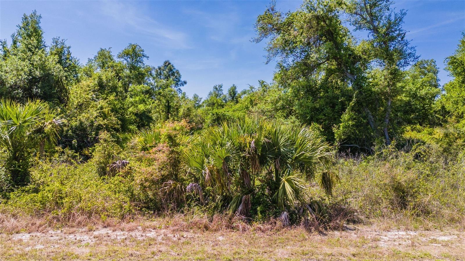 PORT CHARLOTTE SUB 44 - Land