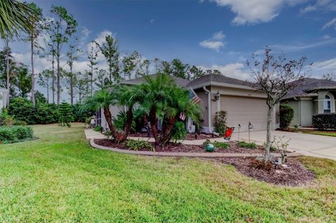 A home in WESLEY CHAPEL