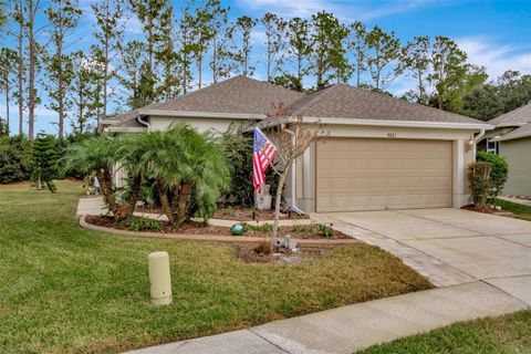 A home in WESLEY CHAPEL