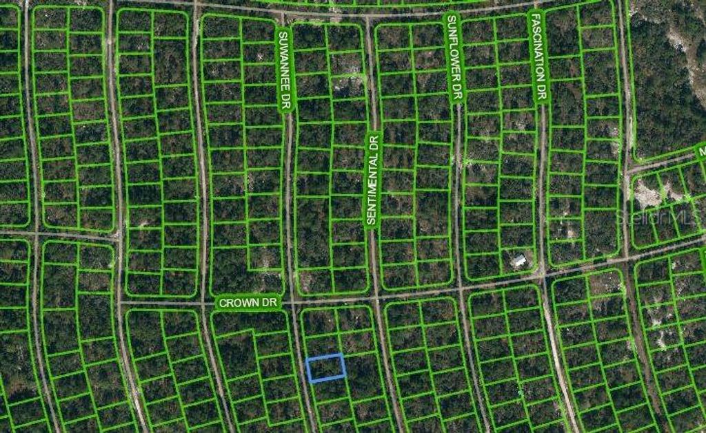 Photo of 215 Suwannee Drive, Lake Placid, FL 33852 (MLS # OM621225)