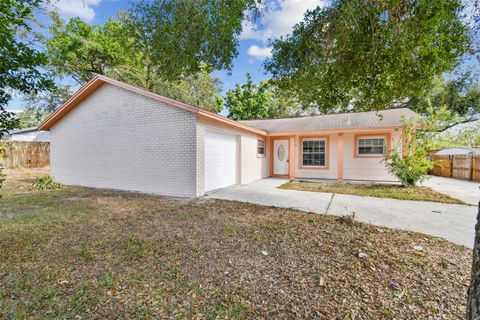 A home in BRANDON