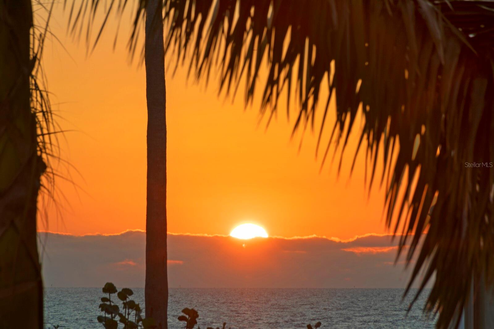 ANDALUCIA SUB - Residential