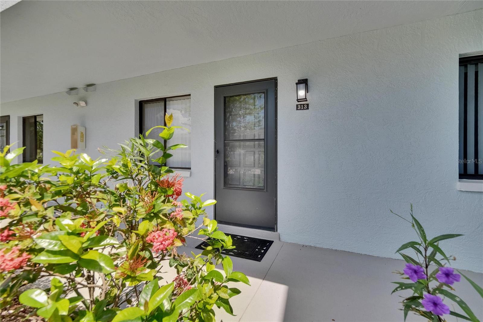313 MARTHA LANE 4
