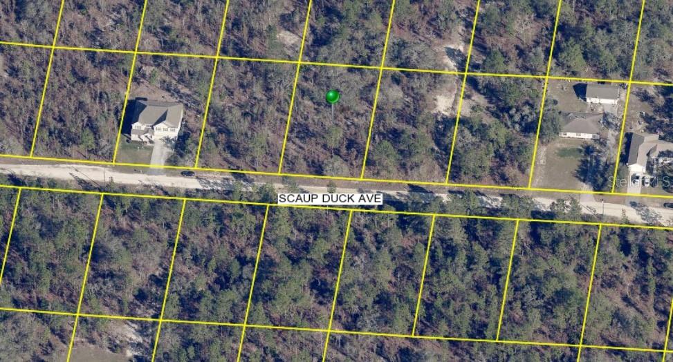 Prime Nearly Half-Acre Lot – No HOA, No CDD, Not in Flood Zone!
Don't miss this fantastic opportunity to own a spacious 20,000 sq ft lot (almost 0.5 acre) in a peaceful and growing area. This oversized parcel offers ample space for your custom dream home, with room for a pool, detached garage, garden, or RV/boat parking.
No HOA – Enjoy the freedom to build without restrictive rules.
No CDD fees – Lower your long-term costs.
Not in a flood zone – No flood insurance required.
Whether you're looking to build now or invest for the future, this lot checks all the boxes. Conveniently located near schools, shopping, and major highways — yet tucked away in a quiet residential neighborhood.