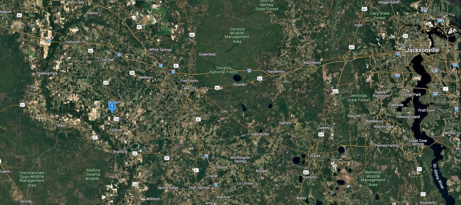 TRACT 136 SUWANNEE RANCHETTES - Land