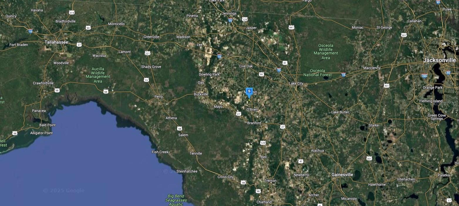 TRACT 136 SUWANNEE RANCHETTES - Land