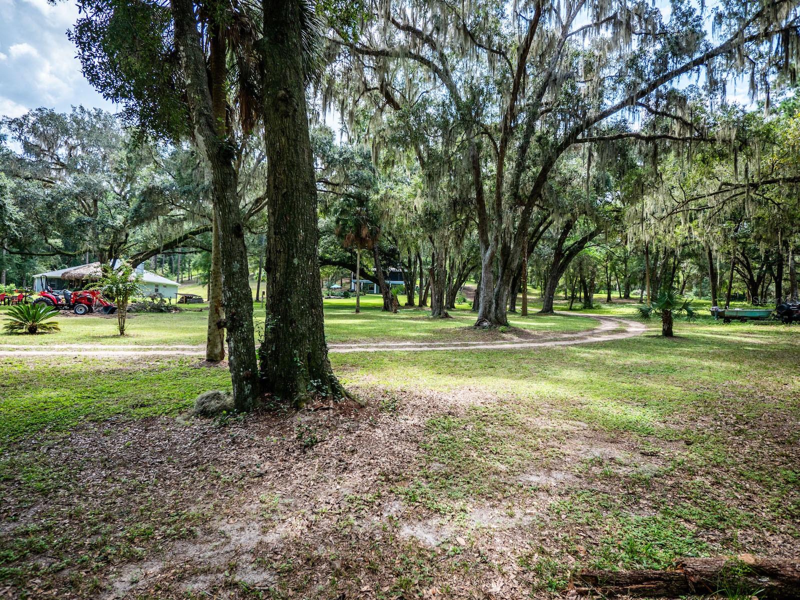 OLD CEDAR LANDING ESTATE - Residential