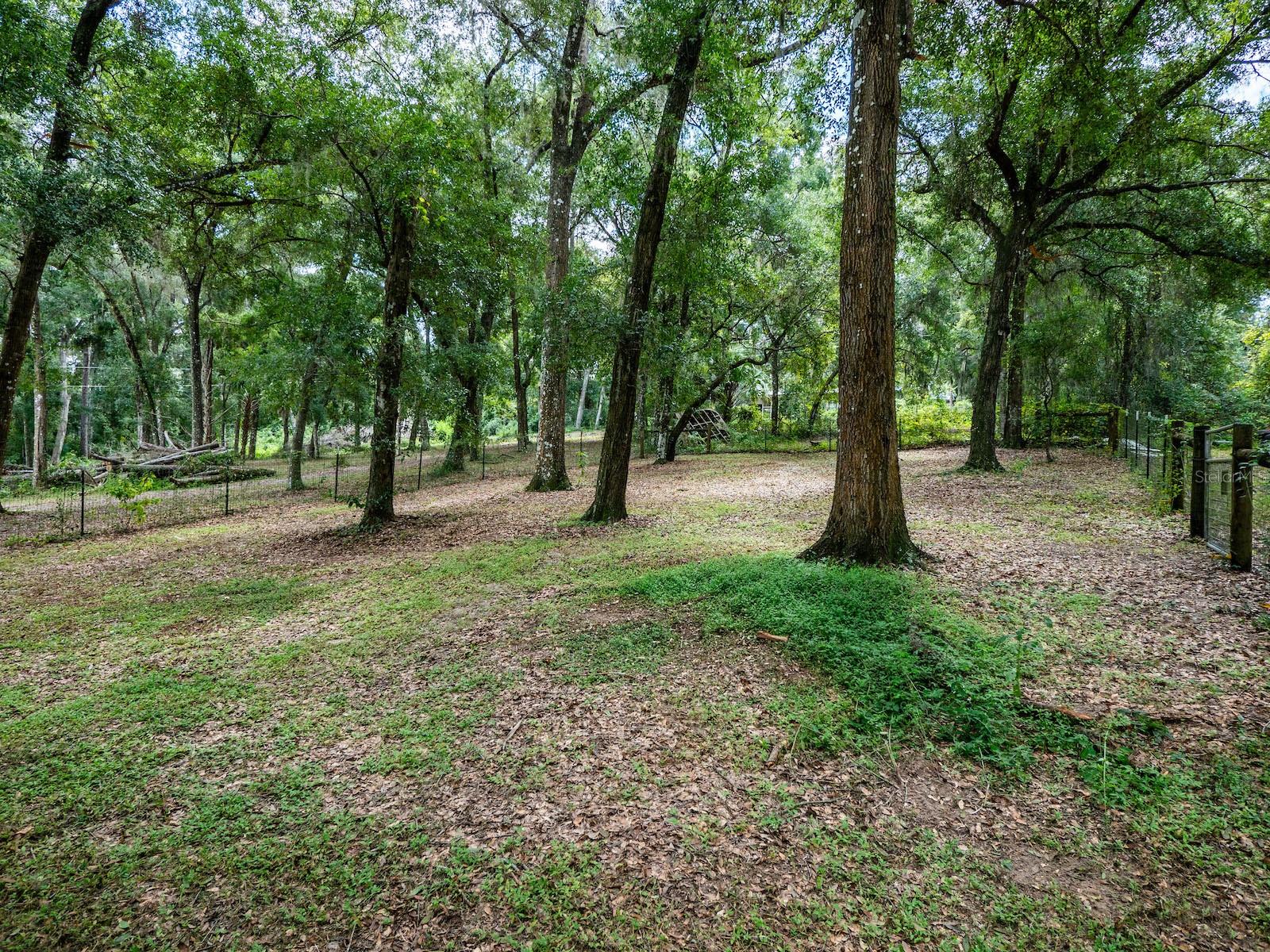 OLD CEDAR LANDING ESTATE - Residential