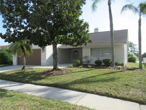 12040 STEPPINGSTONE BOULEVARD TAMPA FL 33635