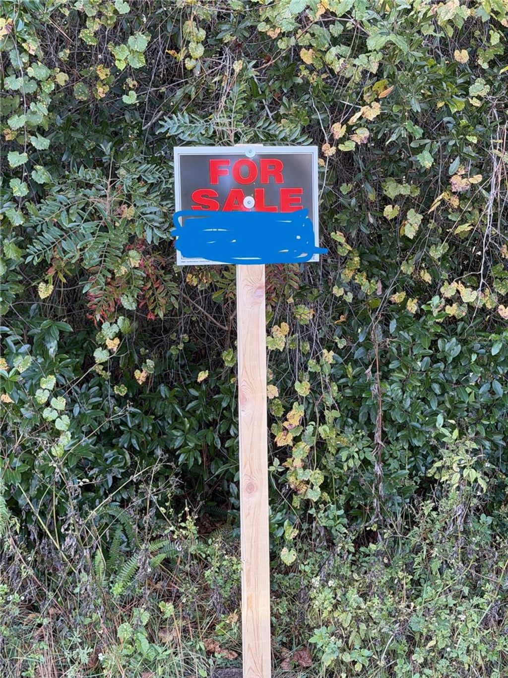 Photo of 8608 N Elcam Blvd, Dunnellon, FL 34434 (MLS # S5144100)