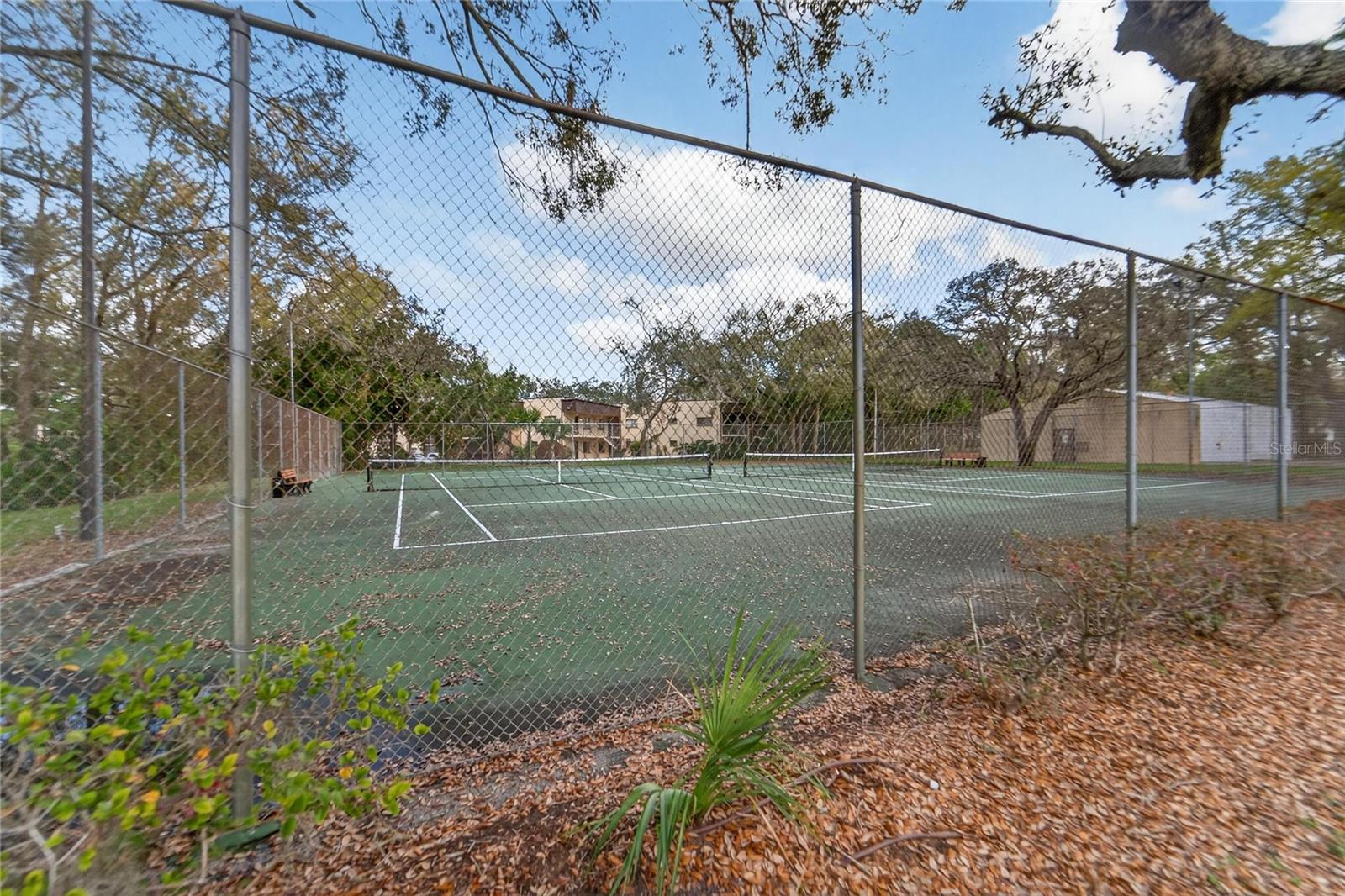 RAINTREE VILLAGE CONDO N - Residential Lease