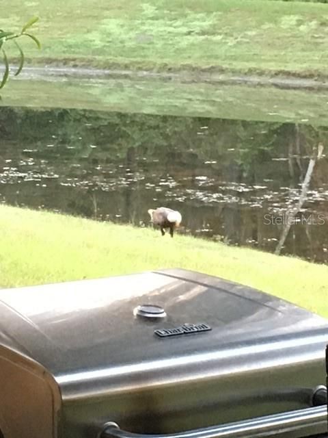 A home in NEW PORT RICHEY