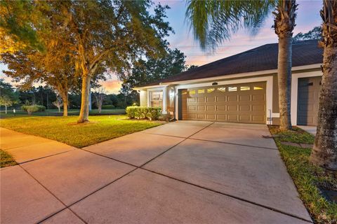 A home in WESLEY CHAPEL