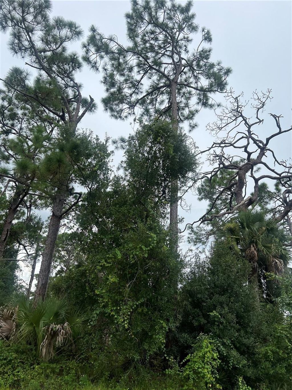Photo of 15451 Buick Avenue, Port Charlotte, FL 33953 (MLS # C7513680)