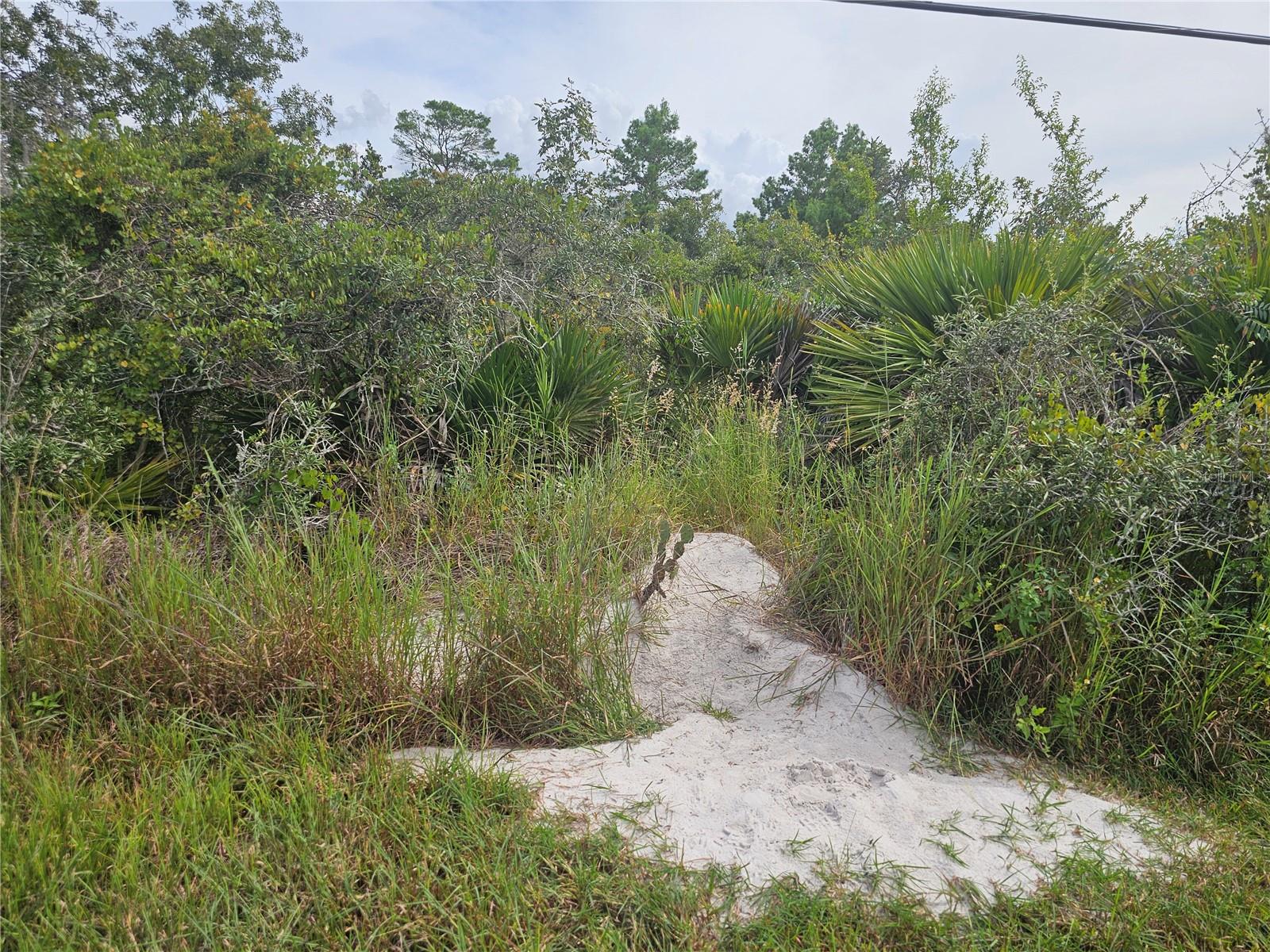 HIGHLANDS PARK ESTATE - Land