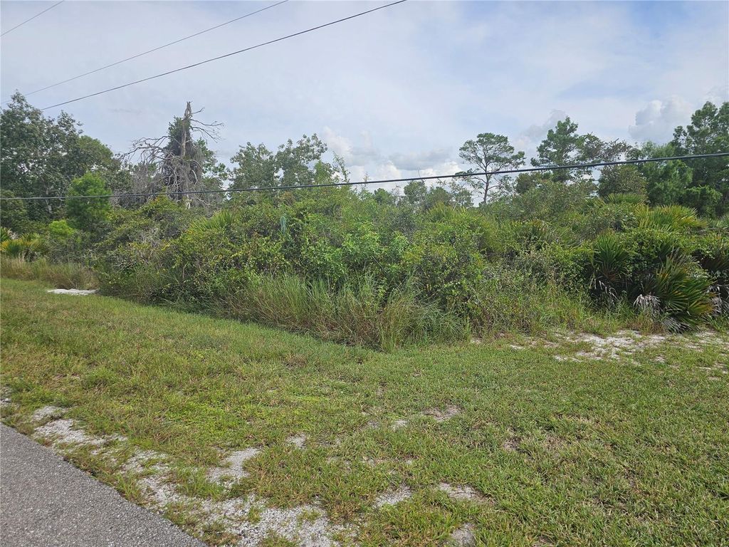 Photo of 1009 Lotus Street, Lake Placid, FL 33852 (MLS # P4936197)