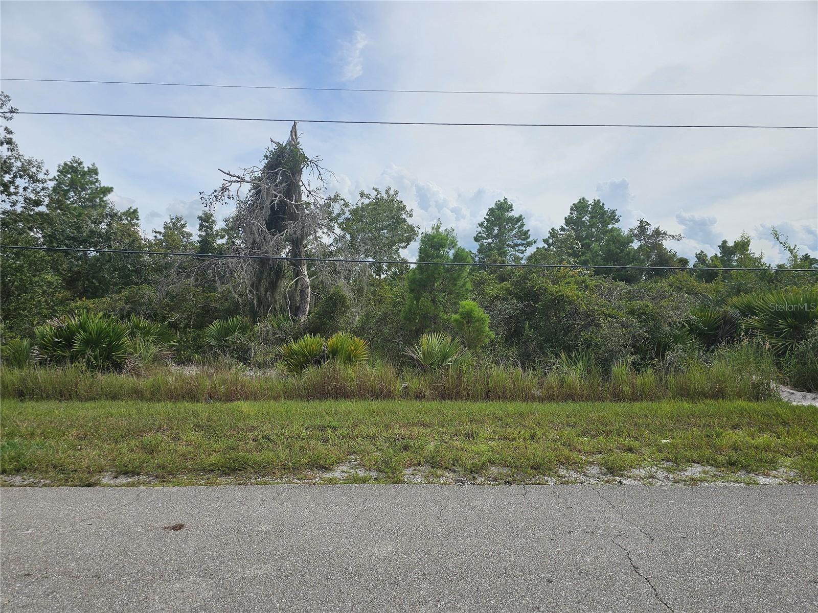 Are you looking for secluded, wooded lot to build or hold for investment? Look no further than this quarter acre located in Highland Park Estates in the Charming town of Lake placid, Florida. There are a lot of events happening in Highlands County throughout the year, enjoy and relax year-round in the country side. Come by and check out the Farmer's Market on Saturdays, travel through the winding roads, and imagine yourself living in paradise!