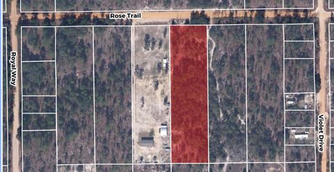 TBA ROSE TRAIL INTERLACHEN FL 32148