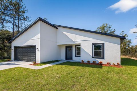 8002 N MALTESE DRIVE DUNNELLON FL 34433