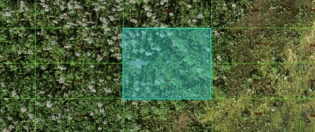 Photo of Old Grade Rd, Polk City, FL 33868 (MLS # O6266208)