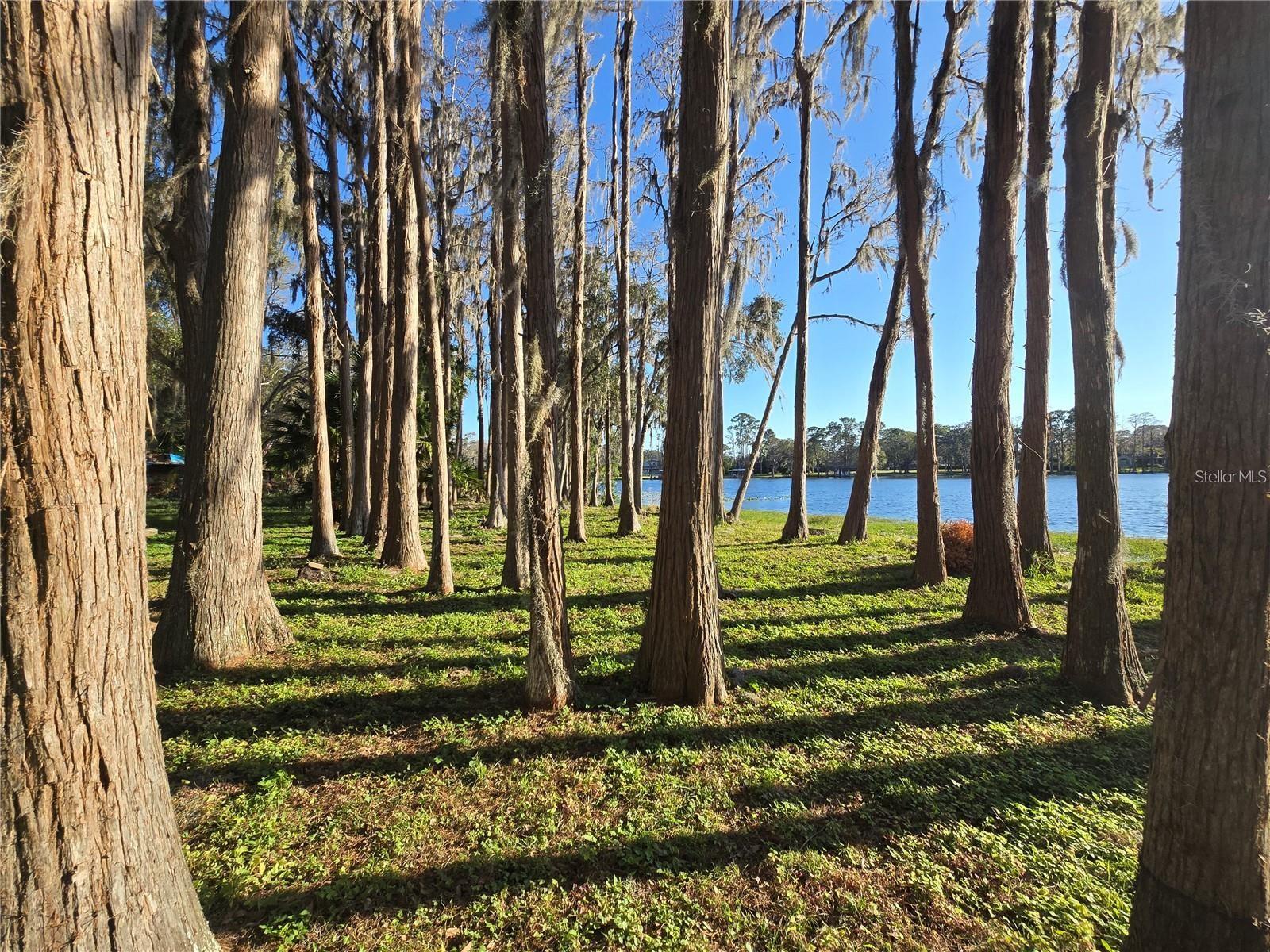 Get it before it's gone! If you've been waiting to build your dream home on Island Ford Lake, this is your chance! Property is out of probate and ready to be sold! Priced to sell for land value, this sale includes 4 Parcels on Island Ford Lake with 3 docks on the property and 2 septic tanks!! Build the home of your dreams or build your portfolio with this one of a kind opportunity! Parcels included are 18880 Crescent Road (U-10-27-17-ZZZ-000000-07280.0), 18886 Crescent Road (U-10-27-17-00F-000000-00018.0), 18856 Crescent Road #A (U-10-27-17-ZZZ-000000-07020-0) and 18856 Crescent Road #B (U-10-27-17-ZZZ-000000-07030.0) currently lakehouse is tenant occupied, please do not walk around house without contacting listing agent