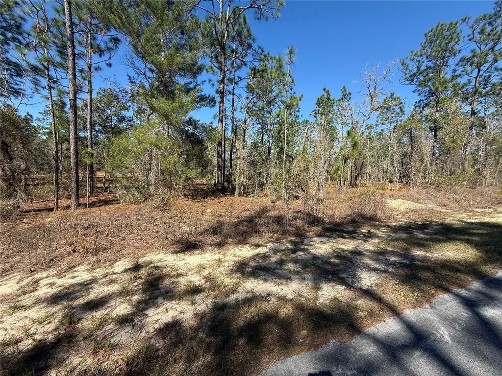 Photo of 5 SE 130 Court, Dunnellon, FL 34431 (MLS # TB8485155)
